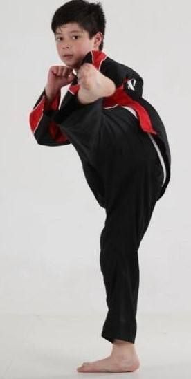 <center>Shaolin Kung Fu is a Great Foundation For Your Child's Lifelong Development!<center>